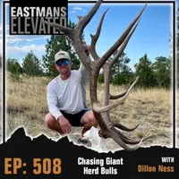 Eastmans' Elevated artwork