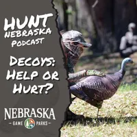Hunt Nebraska artwork