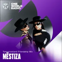 Tomorrowland Friendship Mix artwork