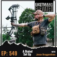 Eastmans' Elevated artwork