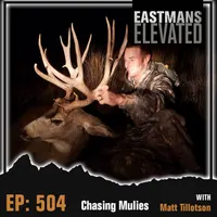 Eastmans' Elevated artwork