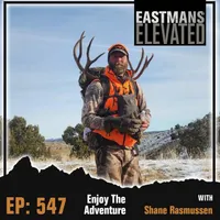 Eastmans' Elevated artwork