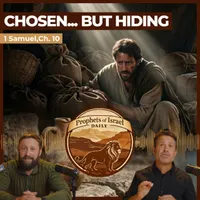 The Land of Israel Network artwork