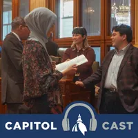 Capitol Cast: Illinois artwork