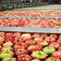 Have You Heard artwork
