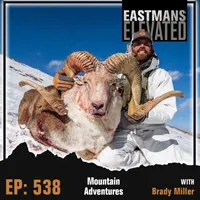 Eastmans' Elevated artwork