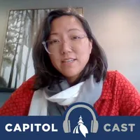 Capitol Cast: Illinois artwork