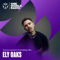Tomorrowland Friendship Mix artwork