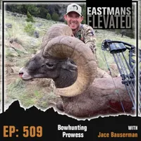 Eastmans' Elevated artwork