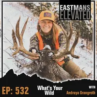 Eastmans' Elevated artwork