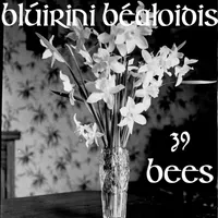 Blúiríní Béaloidis Folklore Podcast artwork