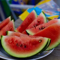 Quattro Stagioni artwork
