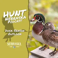 Hunt Nebraska artwork