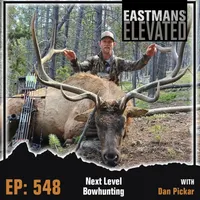 Eastmans' Elevated artwork
