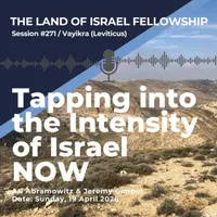 The Land of Israel Network artwork