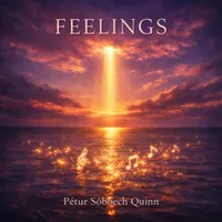 Pétur Söebech Quinn artwork
