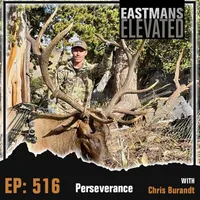 Eastmans' Elevated artwork
