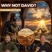 The Land of Israel Network artwork