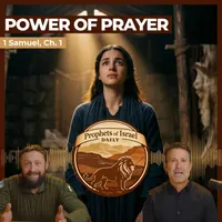 The Land of Israel Network artwork