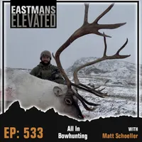 Eastmans' Elevated artwork