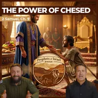 The Land of Israel Network artwork