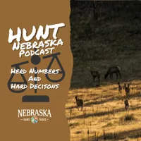 Hunt Nebraska artwork
