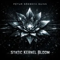 Pétur Söebech Quinn artwork