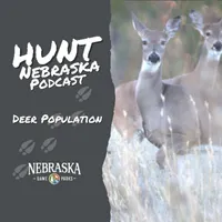 Hunt Nebraska artwork