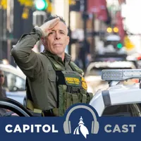 Capitol Cast: Illinois artwork