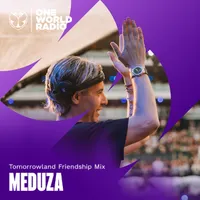 Tomorrowland Friendship Mix artwork