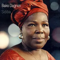 Afropop Worldwide artwork
