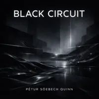 Pétur Söebech Quinn artwork