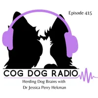 Cog-Dog Radio artwork