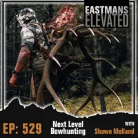 Eastmans' Elevated artwork