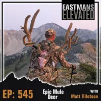 Eastmans' Elevated artwork