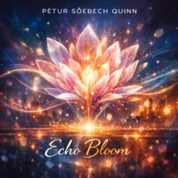 Pétur Söebech Quinn artwork