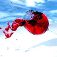 Quattro Stagioni artwork