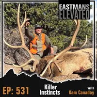 Eastmans' Elevated artwork