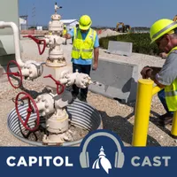 Capitol Cast: Illinois artwork