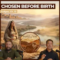 The Land of Israel Network artwork