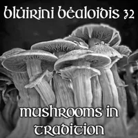 Blúiríní Béaloidis Folklore Podcast artwork