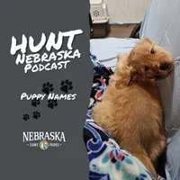 Hunt Nebraska artwork