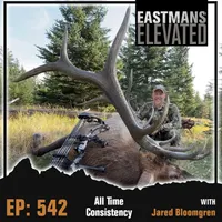 Eastmans' Elevated artwork