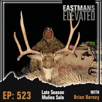 Eastmans' Elevated artwork