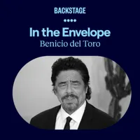In the Envelope: The Actor’s Podcast artwork