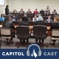 Capitol Cast: Illinois artwork