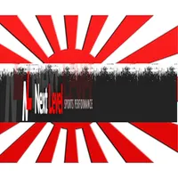 Next Level Rising artwork
