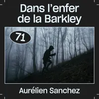 Les Baladeurs artwork