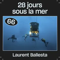 Les Baladeurs artwork
