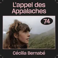 Les Baladeurs artwork